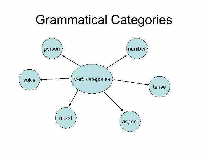 The categories of number. The categories of number
