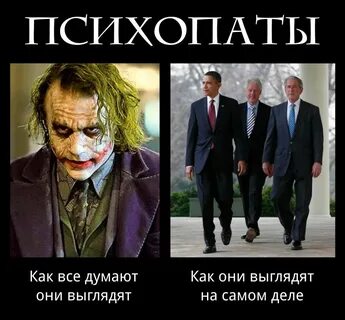 Психопатия и психопатия разница