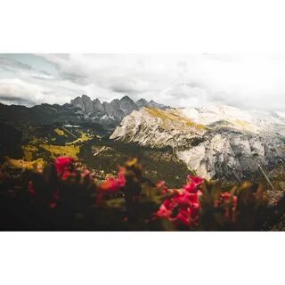 Какими цветами горы
