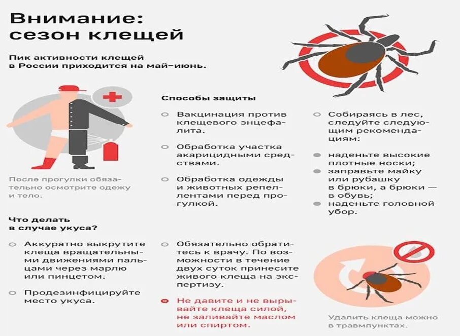 Какие антибиотики принимать при клеще. Памятка клещевой энцефалит памятка. Санбюллетень профилактика клещевого энцефалита. Прививка клещевого энцефалита памятка. Памятка по вакцинации от клещевого энцефалита.