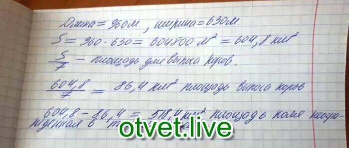 В колхозе под пастбище отведен участок поля