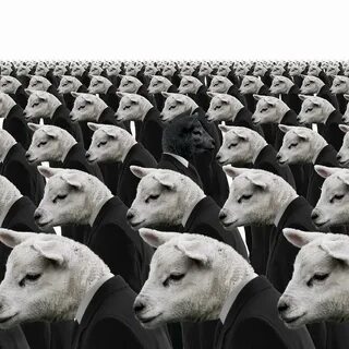 Стадный инстинкт в мирное время