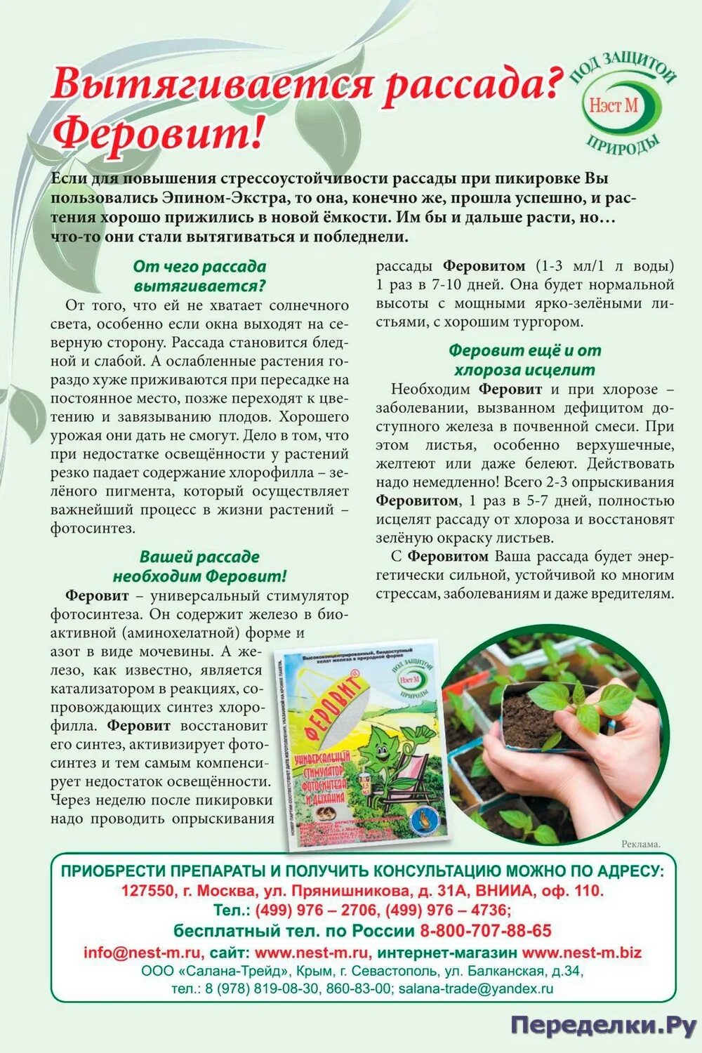 Чтоб рассада не вытягивалась и была крепкой. Феровит для рассады. феровит для рассады помидор. препарат чтобы не тянулась рассада. средство чтобы рассада не вытягивалась.