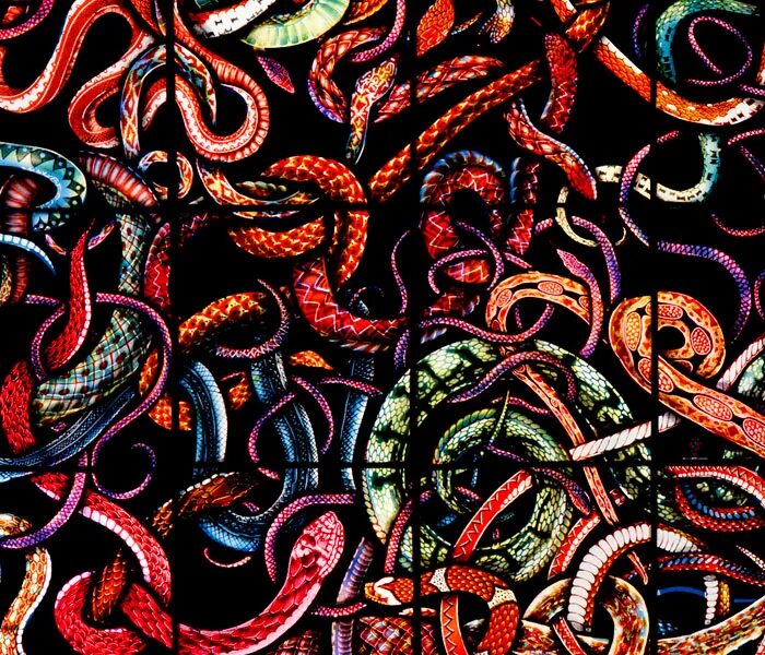 Комната со змеями. Гермиона грейнджер ninjartist. Комната со змеями. Арт много маленьких змеек. Комната со змеями.