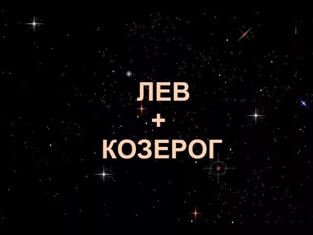 Лев и Козерог. Лев и Козерог любовь. Лев плюс Козерог. Козерог Лев Гудман