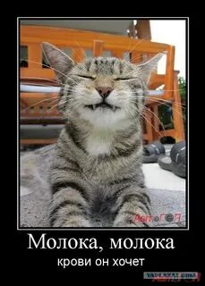 Кто бы