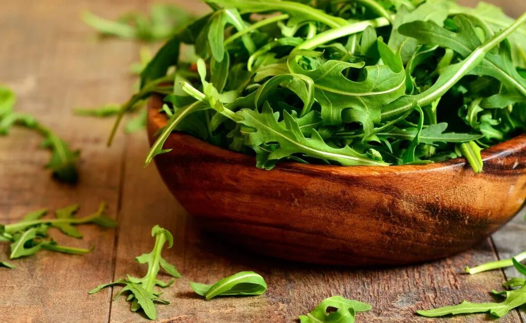 Рукола растение. Рукула. Руккола лист. Зелень руккола. Индау-рукола двурядник.