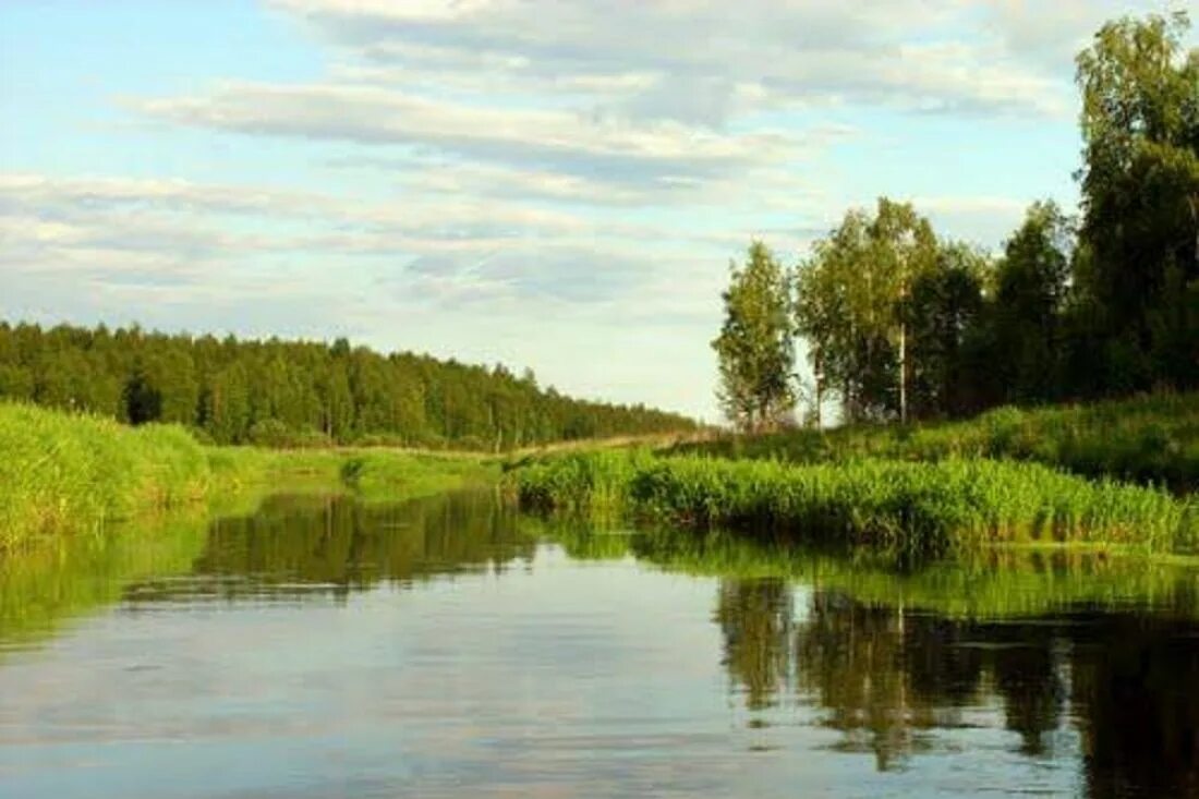 Река поим. Река Люнда. Река Люнда Нижегородская область. Река большой Чембар Пензенская область. Река Чембар Пензенская область.