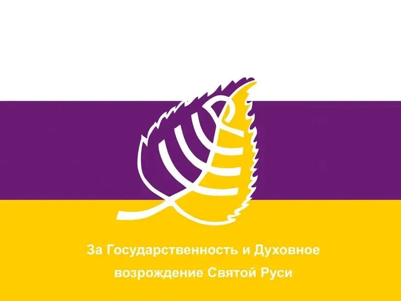 Флаг движения. Флаг движения. Флажки рдш. Осиянная русь логотип. Флаг движения.