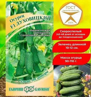 Огурец сорта луховицкий отзывы