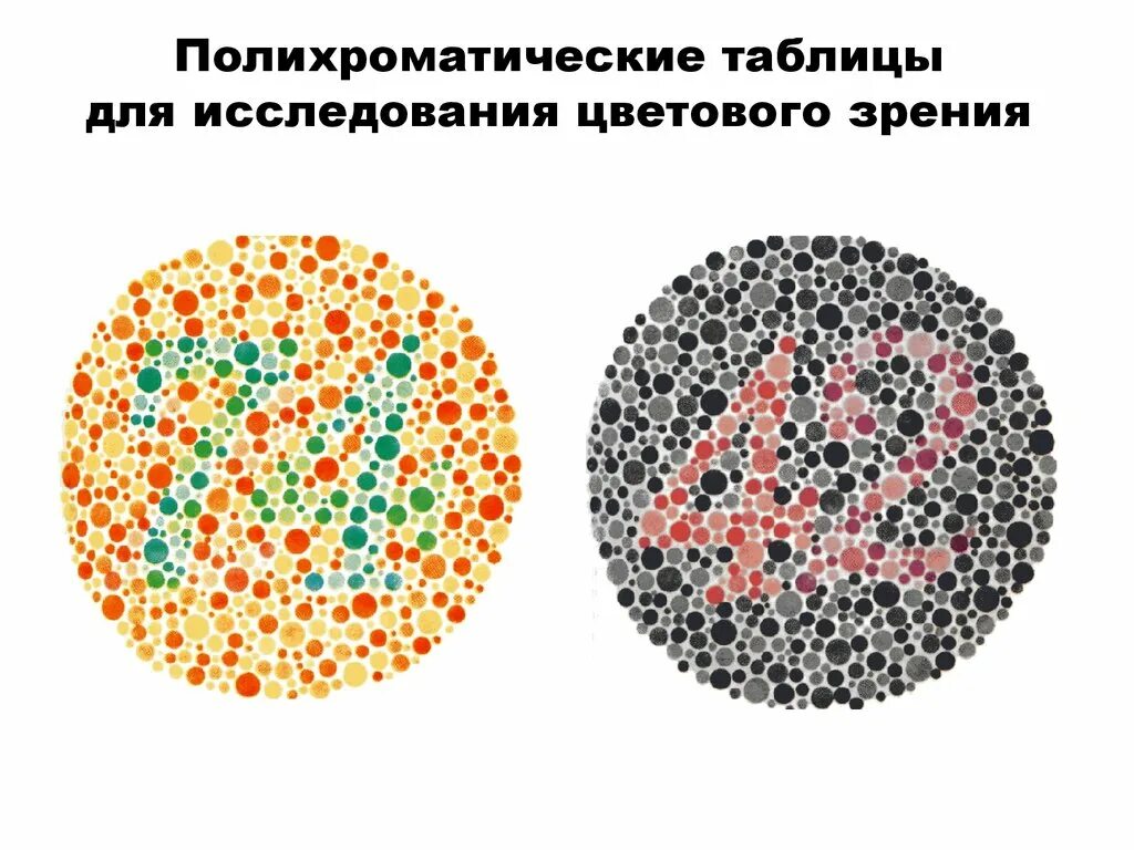 Тест на зрение. Полихроматические таблицы. Цветовая таблица для зрения. Исследование цветового зрения. Оценка качества зрения