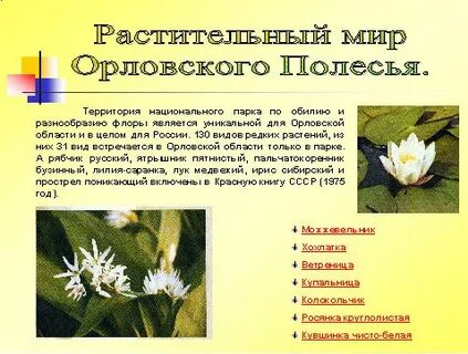 Растения орловского полесья