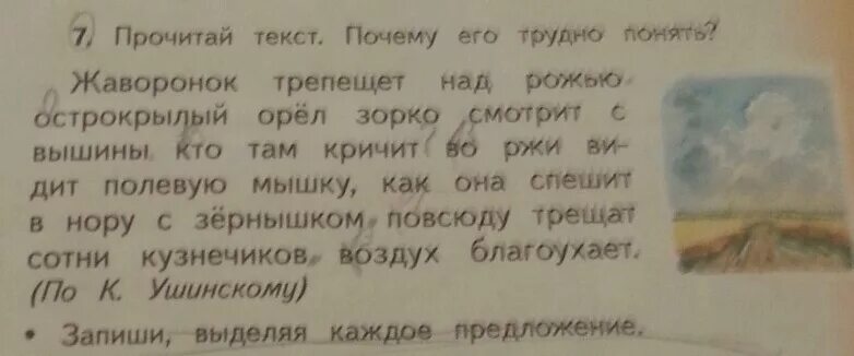 Прочитай слова в рамочке. Жаворонок трепещет над рожью острокрылый Орел. Ушинский Жаворонок трепещет над рожью. Ушинский Жаворонок. По Ушинскому Жаворонок.