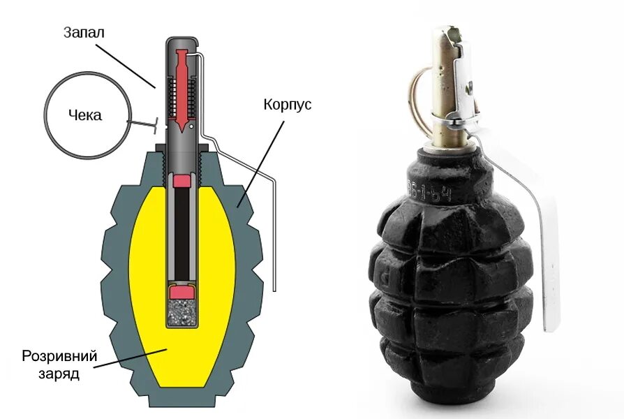Граната Лимонка ф1. Ручные осколочные гранаты ф1 строение. Радиус поражения гранаты ф1. Граната ф1 состав.