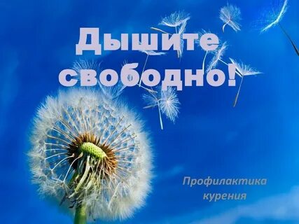Дыши ты просто воздух