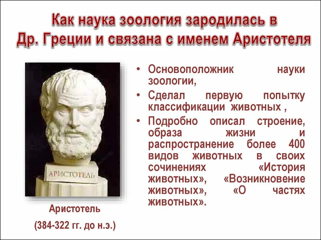 Науки о классах животных. Аристотель основоположник зоологии. Аристотель "о частях животных". Основатель зоологии. История развития зоологии.