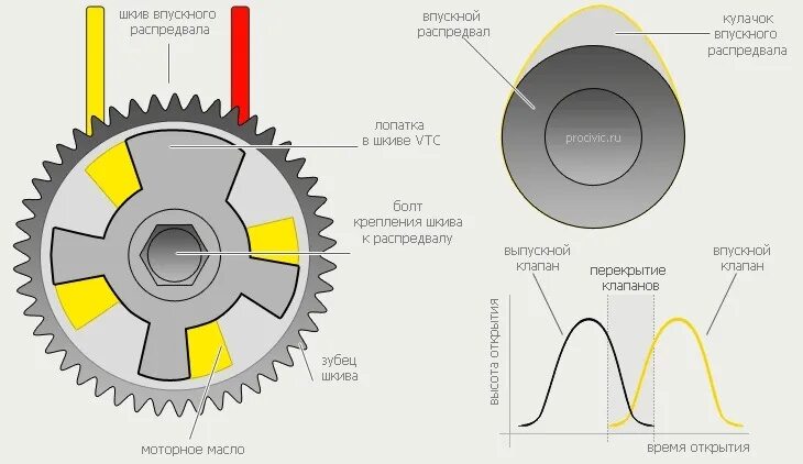 Выставить фазы газораспределения. Схема фаз газораспределения двигателя. фазовращатель двс принцип работы. фазы газораспределения перекрытие клапанов. принцип работы муфты vvt-i.