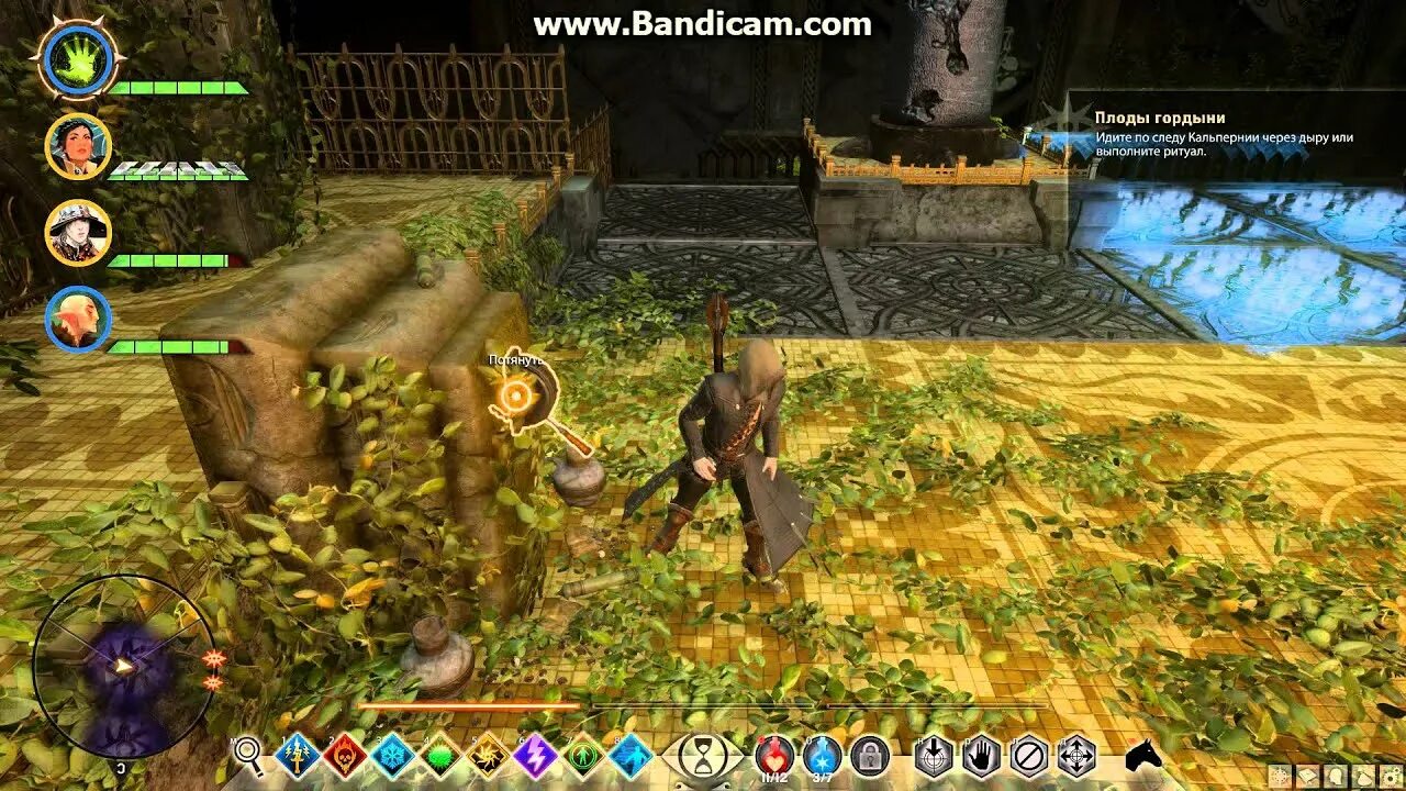 Плоды гордыни dragon. Плоды гордыни dragon age ритуал. плоды гордыни dragon age inquisition. плоды гордыни dragon age inquisition ритуал. драгон эйдж инквизиция плоды гордыни.