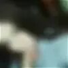 Сука 24