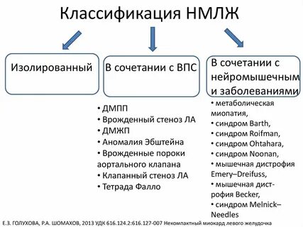 Некомпактный миокард
