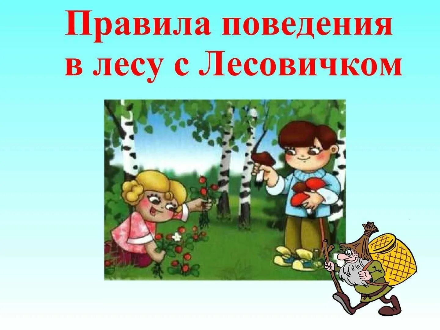 Безопасность ребенка на природе. Правила поведения в лесу. Правила поведения в Дему. Привали поведения в лесу. Правила поведения на природе.