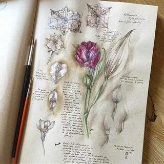 Рисунок в книге журнале