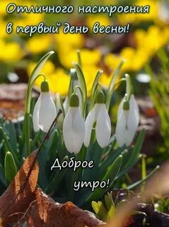Первый день весны открытки оригинальные