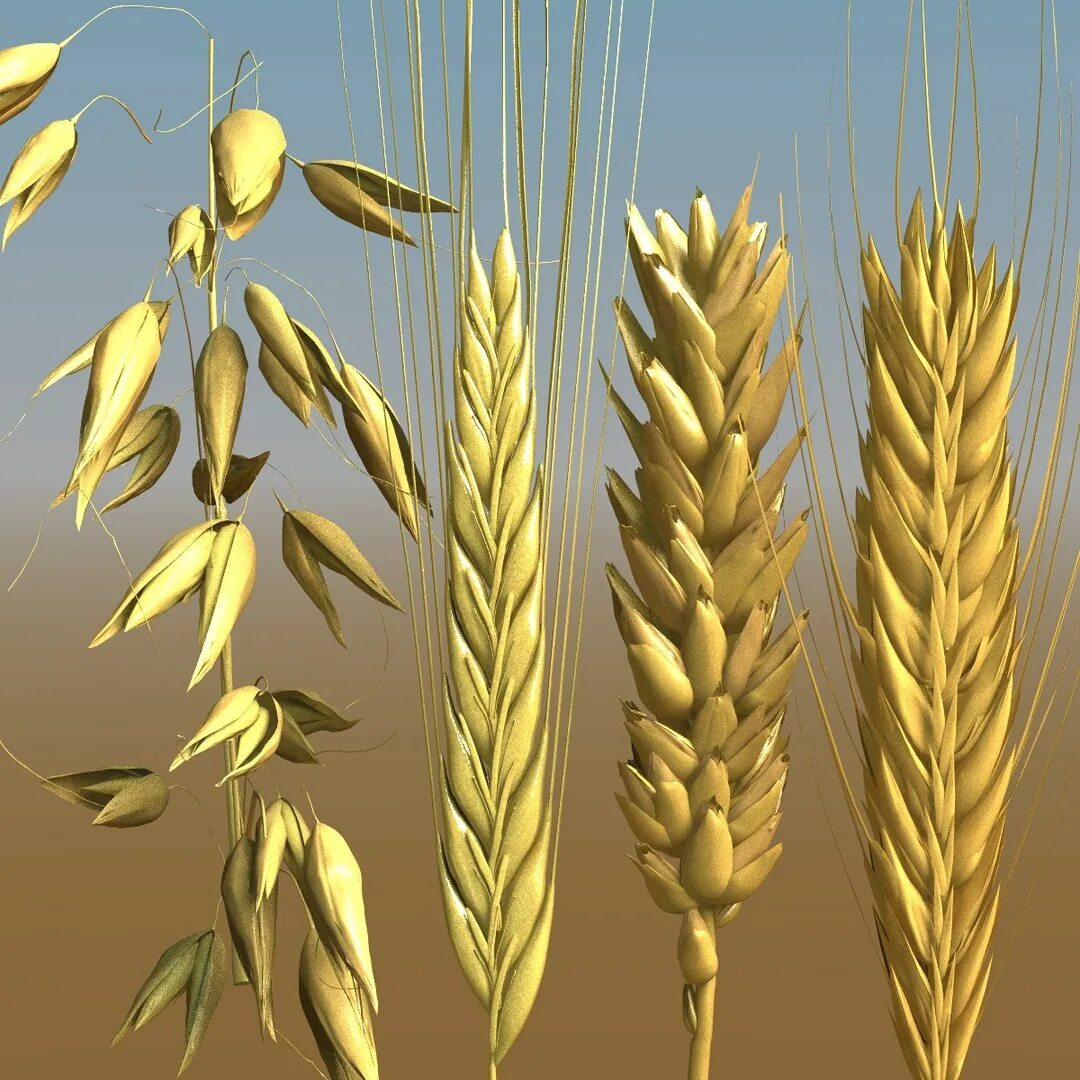 Хоппер модель 19 - 6870 120 м3. Вагон-хоппер для перевозки зерна модель 19-1274-01. Зерновая модель. Вагон хоппер. Хоппер 19-9863.