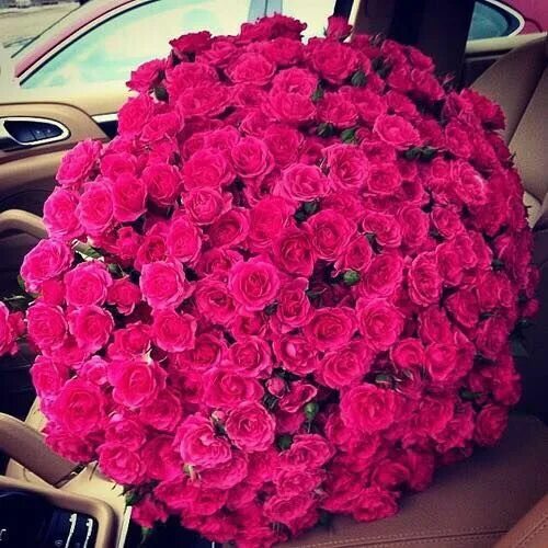 420 Flowers ideas in 2021 квіти, букети, квіткові композиції