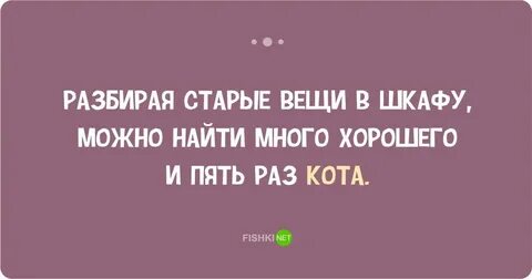 Многие ищут