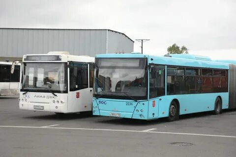 272 автобус санкт