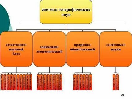 Распределите географические науки по отраслям