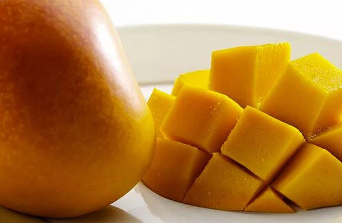 Mango net