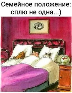 И мы не в одной постели