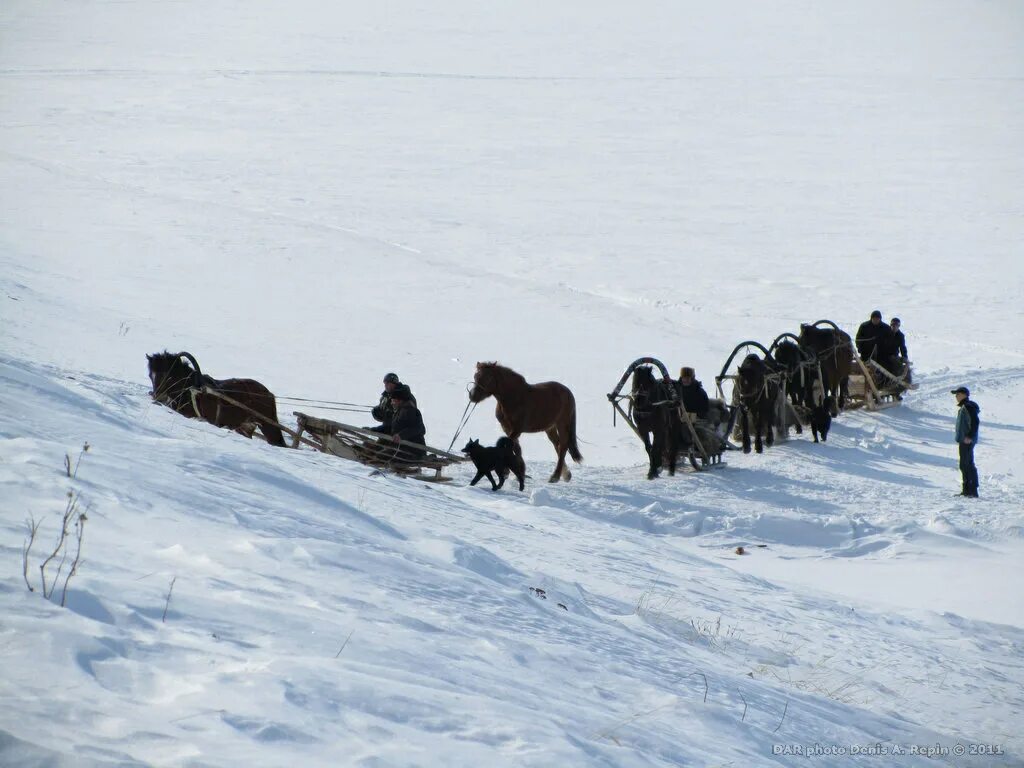 Погода в ижме рп5. Ижма РК. Попутчик Ижма. Маринин Ижма.