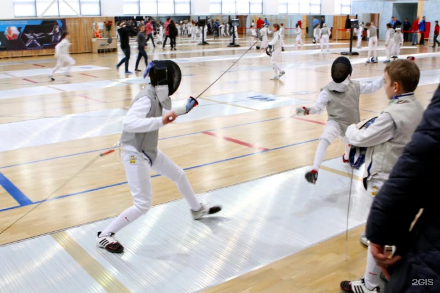 Курчатов школа фехтования. Школа фехтования курск стадион. Центр фехтования курск. Фехтование курск. Спортивная школа олимпийского резерва по фехтованию курск.