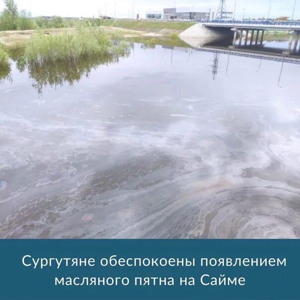 Масляное пятно на реке. Речка сайма в сургуте. Обь вскрылась. Вода сургут река. Вода сургут река.