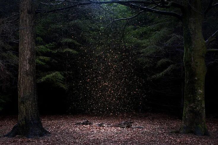 BROTHERS GRIMM'S HOMELAND on Behance Landscape, Beautiful nature, Forest gate