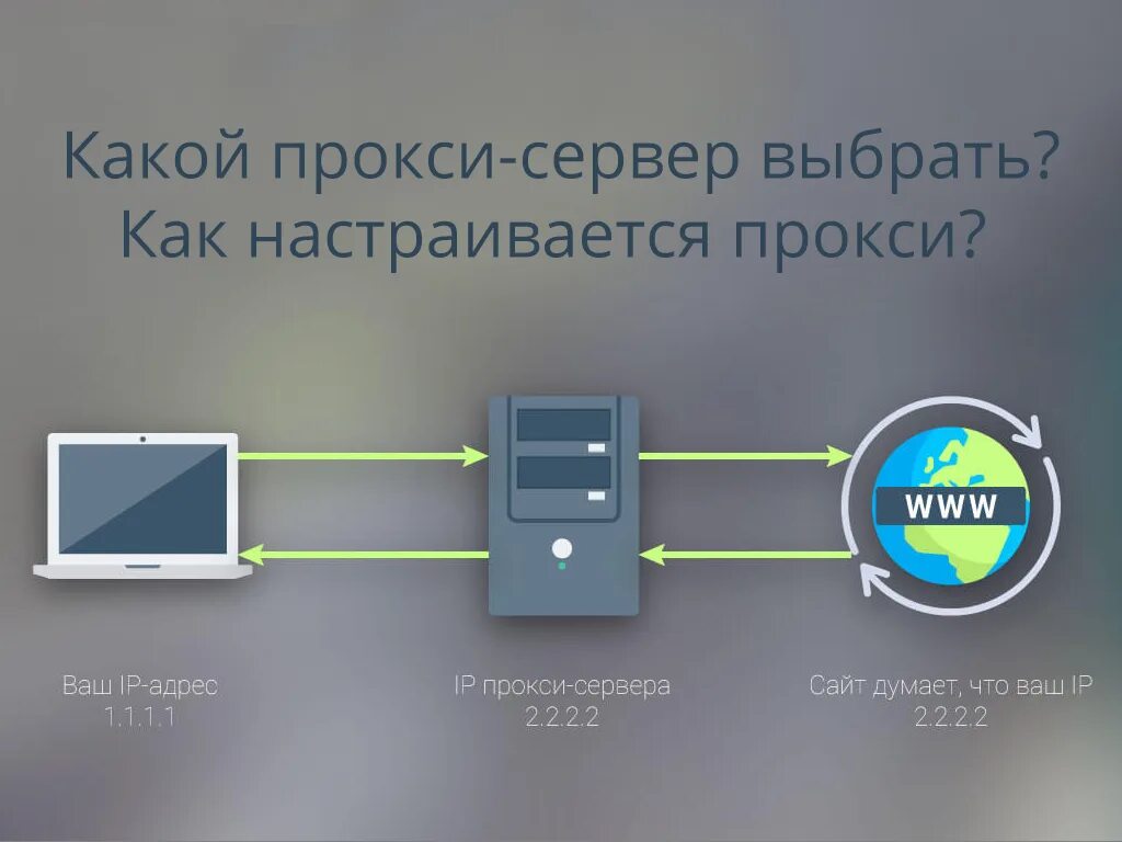 Бесплатные прокси proxy