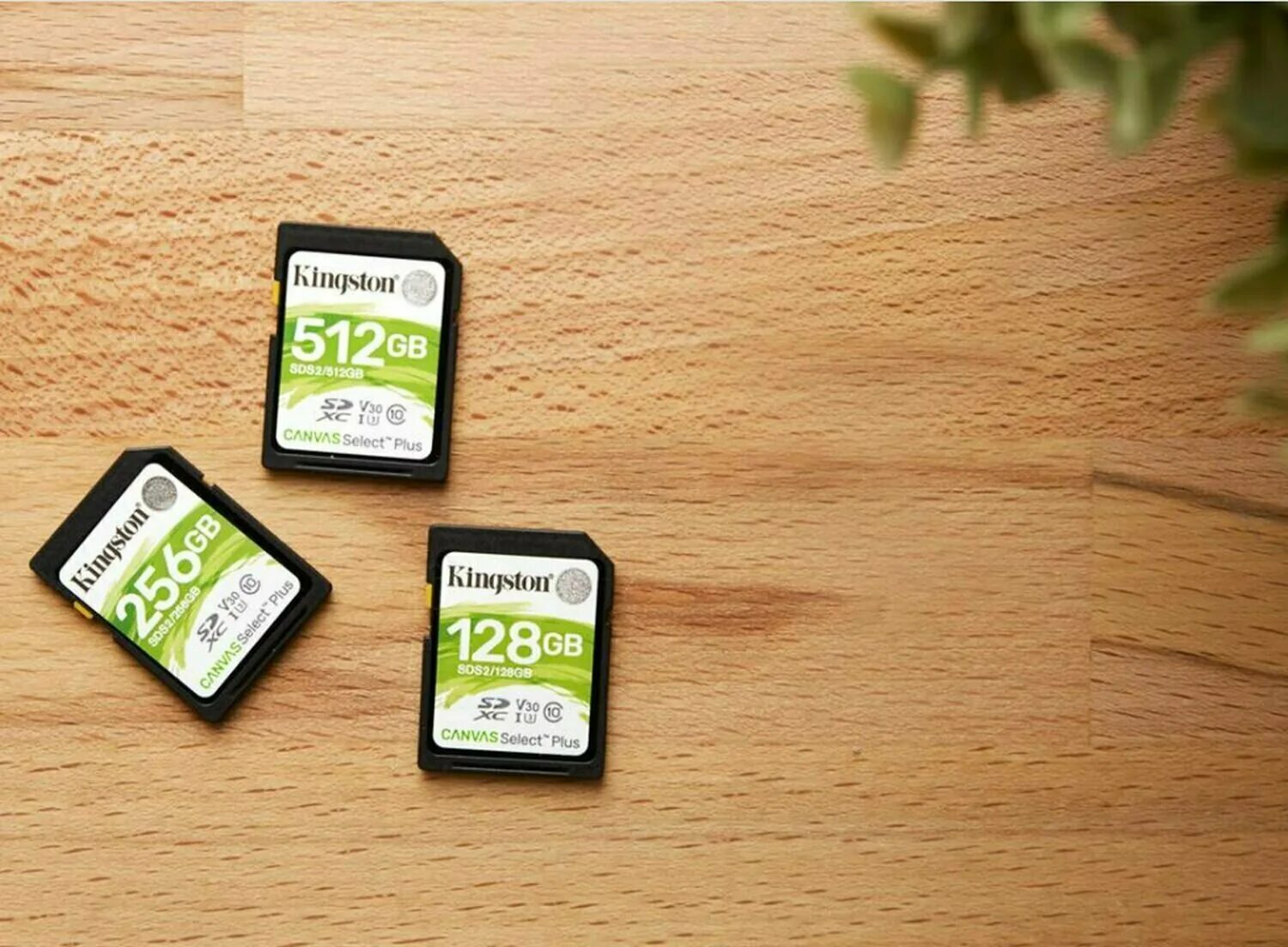 Kingston canvas select plus 128. Карта памяти kingston canvas select plus 128 гб. карта памяти microsd kingston 128gb canvas select plus. microsdhc kingston 256 gb.