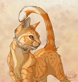 Коты воители золотой кот