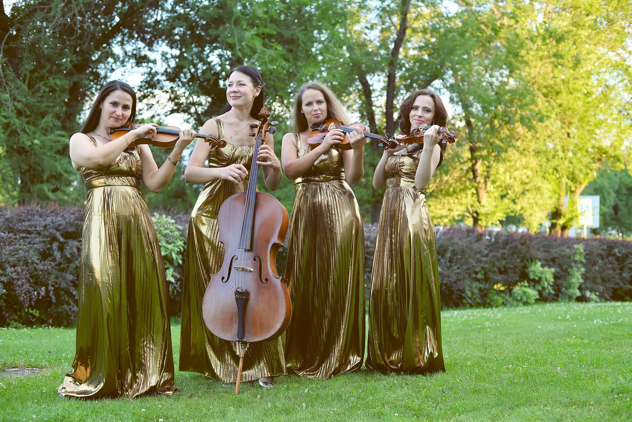 Классический струнный квартет. Стрип дэнс группа. Тула скрипичный квартет. Балет на сцене. Липецкая филармония российский квартет саксофонистов.