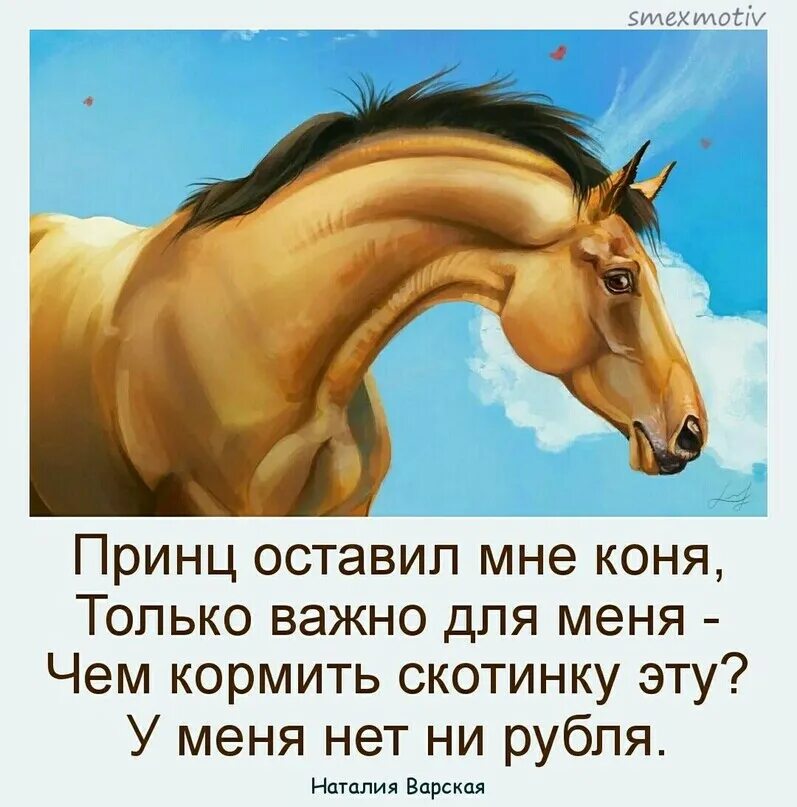 Стихи про лошадей красивые. Князь владимир мультик. Дайте коня мне да добрый текст. Добрая лошадь стихи. Князь владимир мультфильм ярополк.
