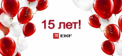 24 года компании