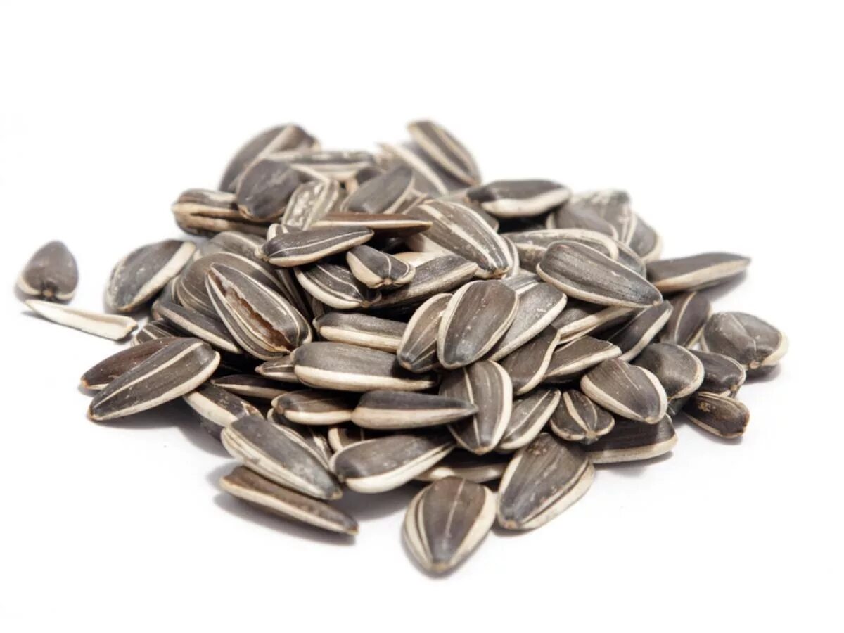 Сорта семечек подсолнечника. Семечки sunflower seeds. полосатые семечки подсолнечника. семечки на белом фоне. семечки подсолнечника на белом фоне.