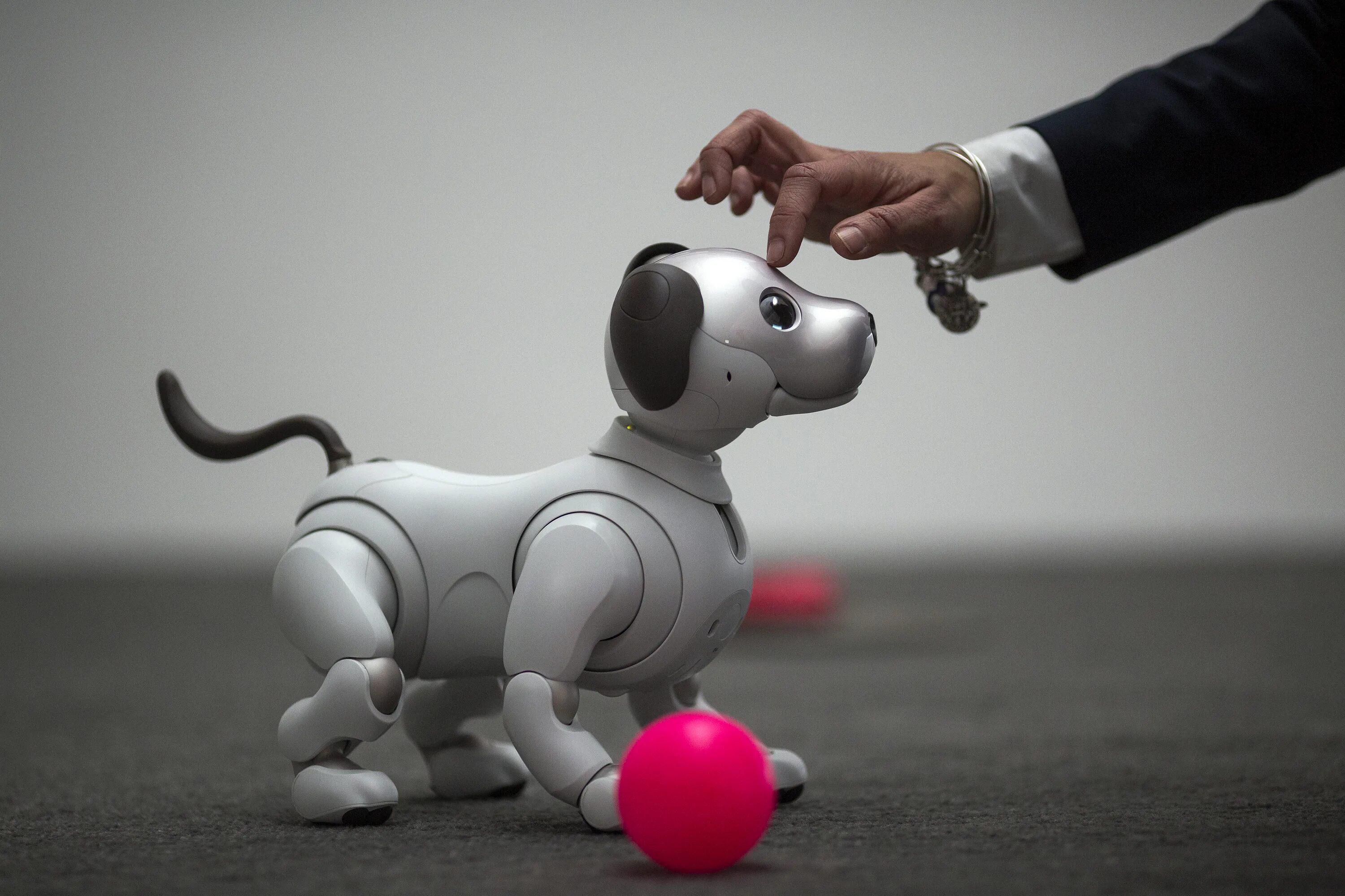 Its its toy. Робот собака Aibo. Робот пёс Айбо. Собака робот в Японии Айбо. Робот собака Sony Aibo.