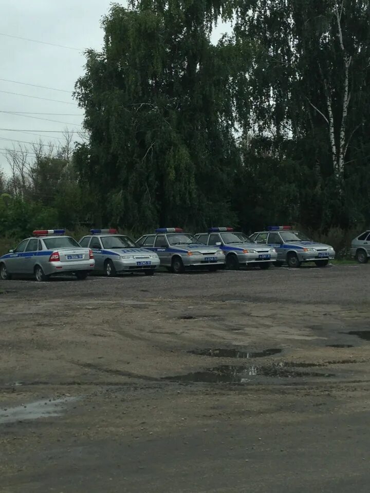Полиция города кашира. Кашира дпс. Кашира дпс. Кашира дпс. Кашира дпс.