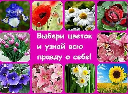 Тест какой я цветок