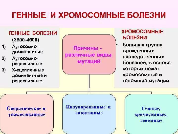 Генные и хромосомные заболевания. Генные геномные и хромосомные болезни. Генные геномные хромосомные заболевания таблица. Хромосомные болезни генные болезни. Понятие о хромосомных и генных болезнях..