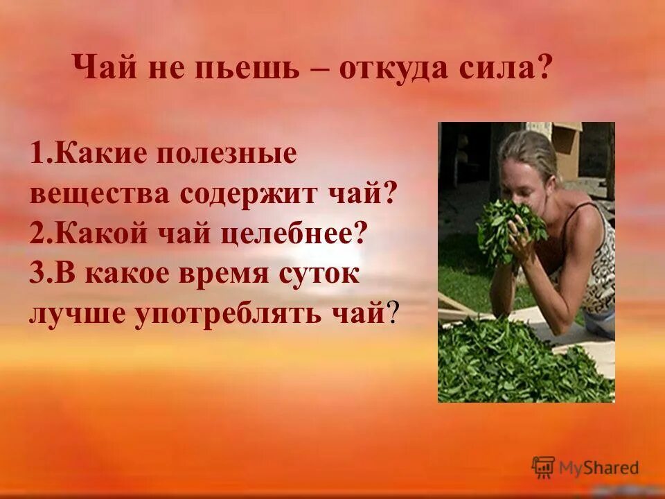 Где не пьют чай. Чай не пьешь откуда сила. Чай пьешь откуда силы. Чай откуда сила. Презентация на тему чай.